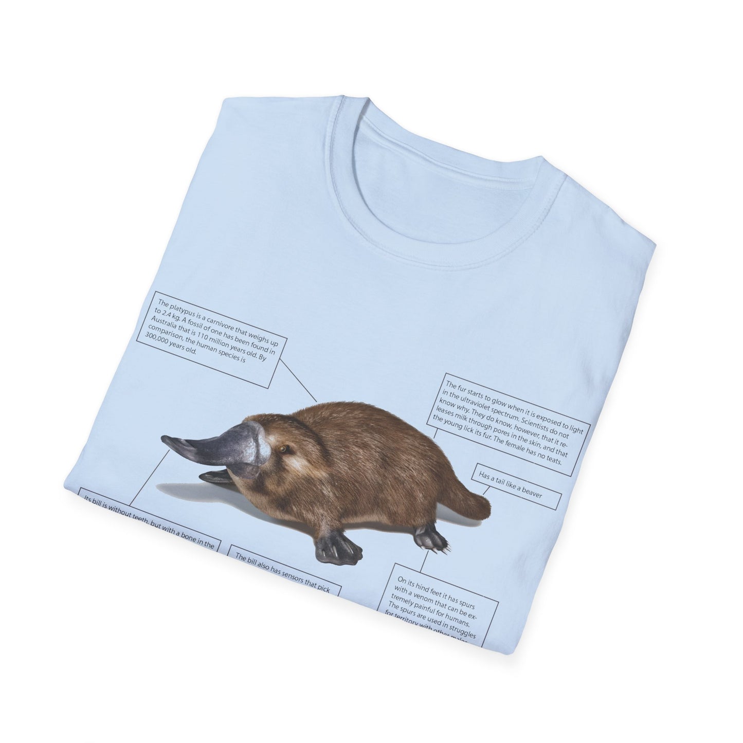 pleasant platypus facts tshirt