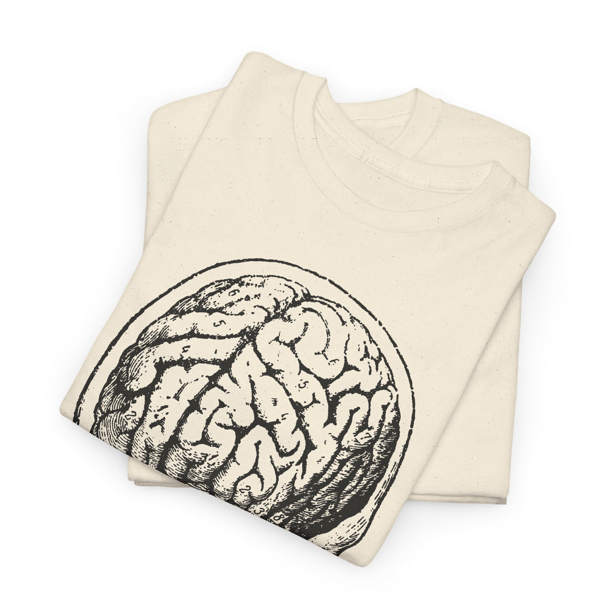 early 1900s brain anatomy illustration tshirt
