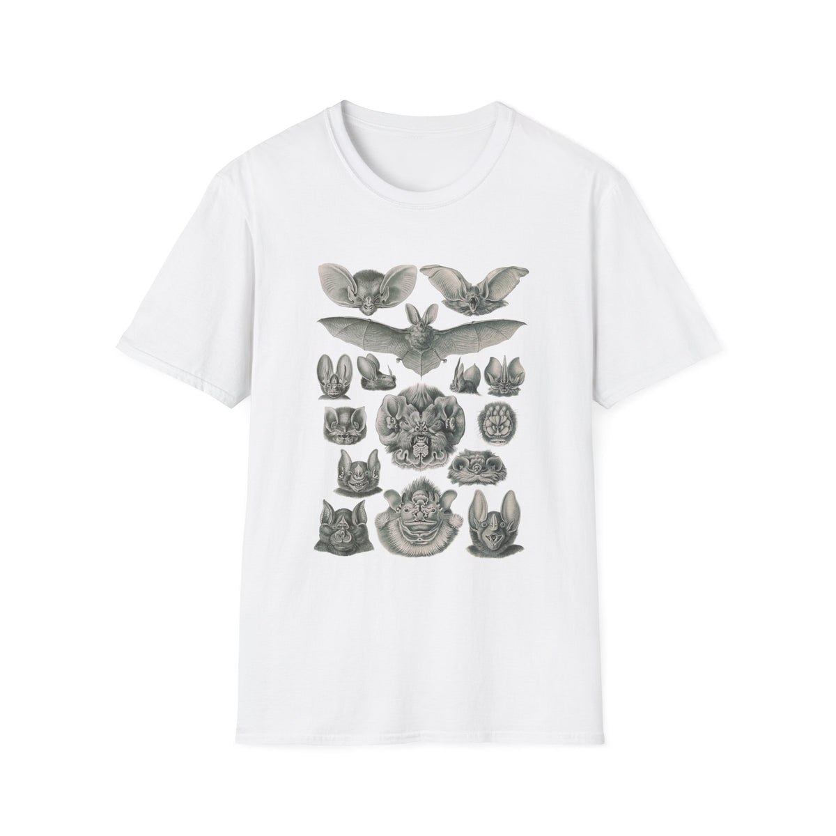 1904 chiroptera (fledertiere) bata print by adolf giltsch after sketch by ernst haeckel from art forms of nature tshirt