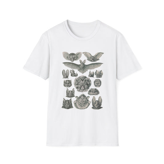 1904 chiroptera (fledertiere) bata print by adolf giltsch after sketch by ernst haeckel from art forms of nature tshirt