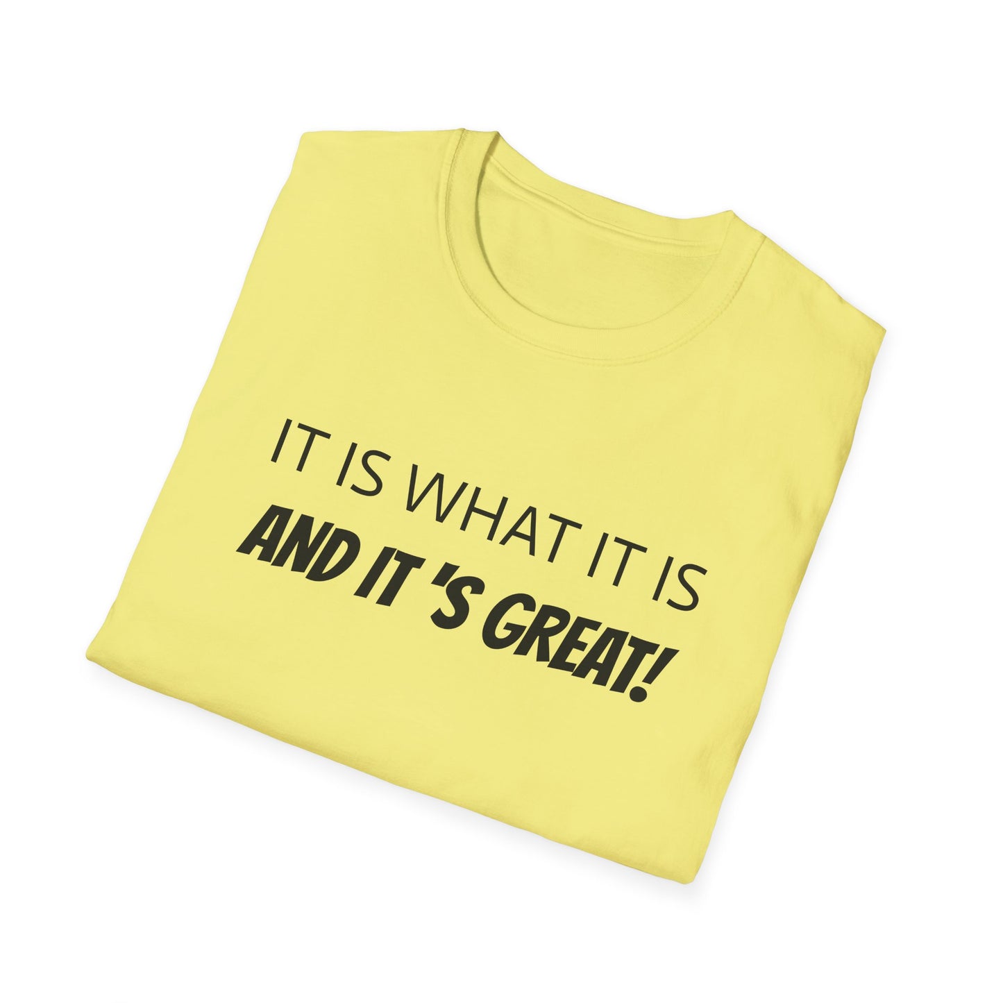 it is what it is and it's great! tshirt