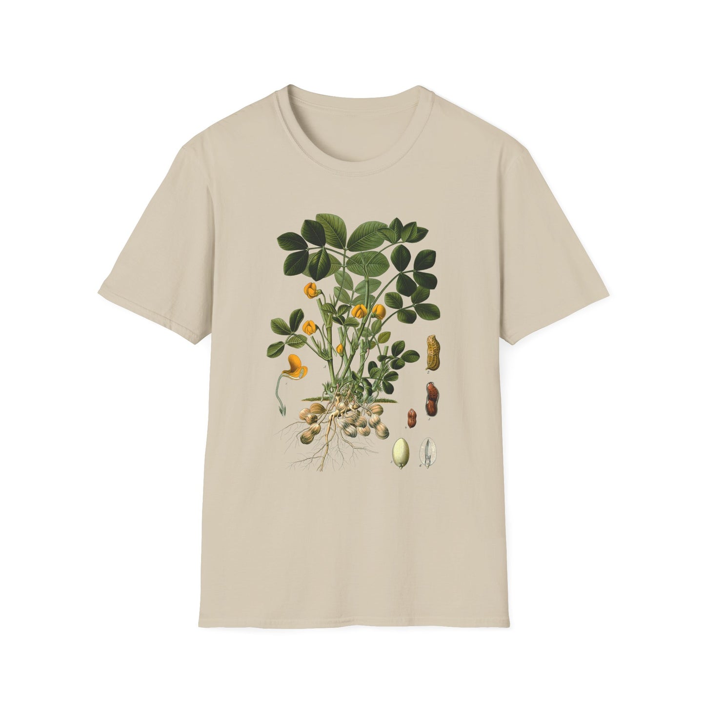 1887 peanut arachis (hypogaea) botanical print from kohler's plants by hermann adolph kohler tshirt