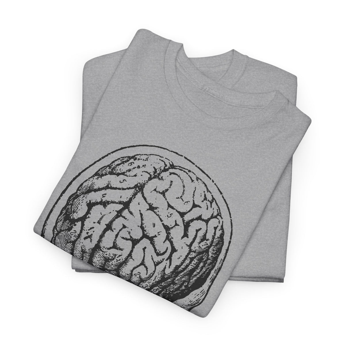 early 1900s brain anatomy illustration tshirt