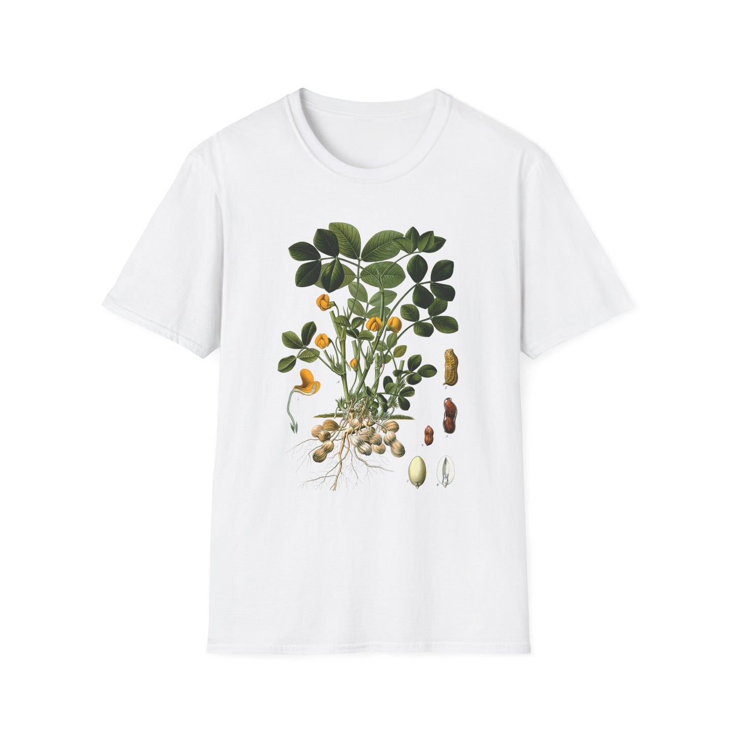 1887 peanut arachis (hypogaea) botanical print from kohler's plants by hermann adolph kohler tshirt