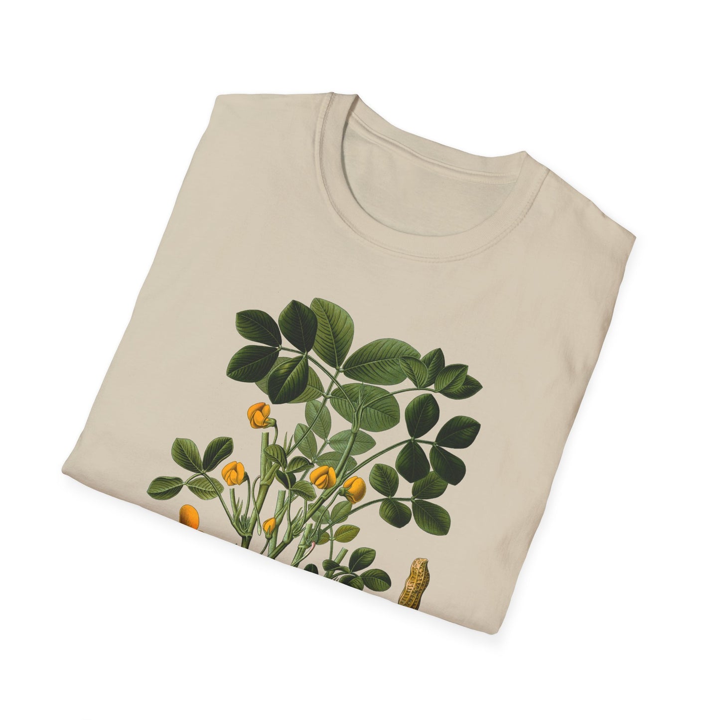 1887 peanut arachis (hypogaea) botanical print from kohler's plants by hermann adolph kohler tshirt