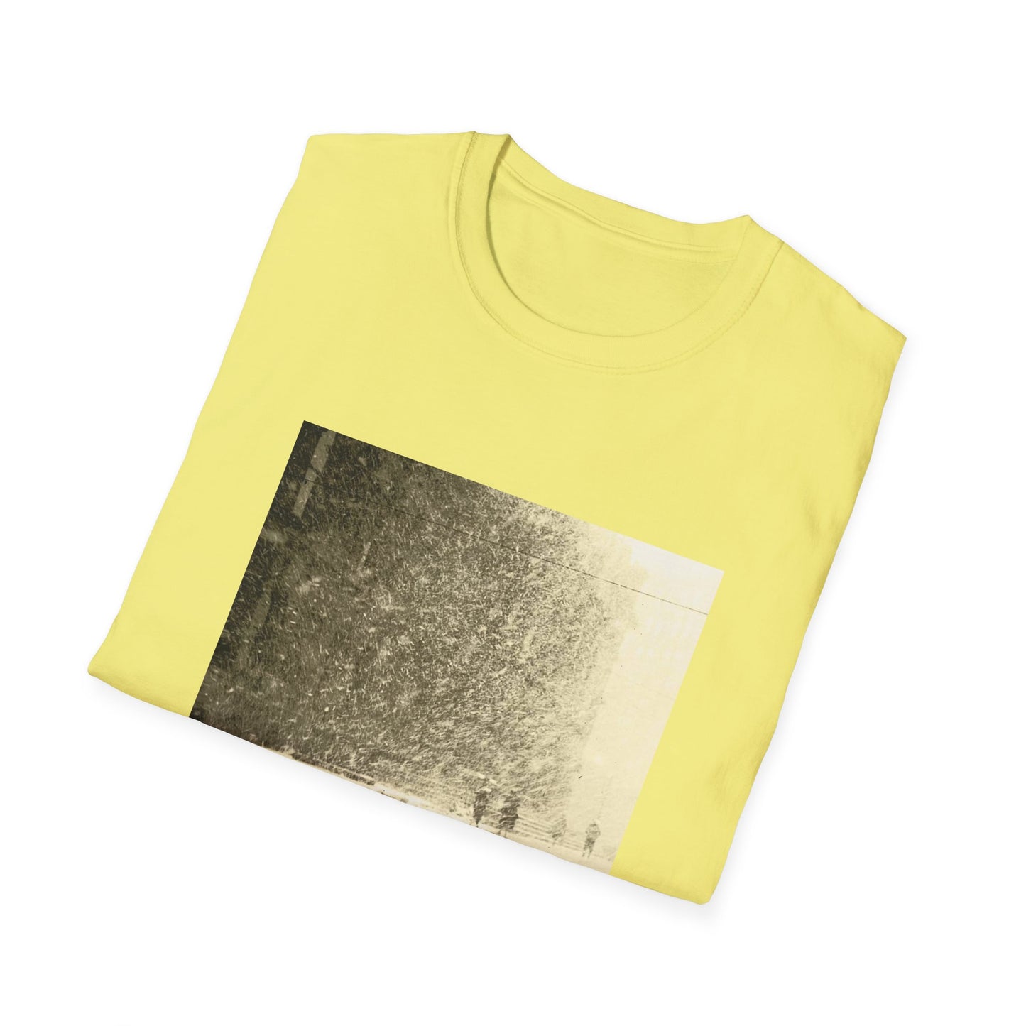 women 2010 public strain album tshirt