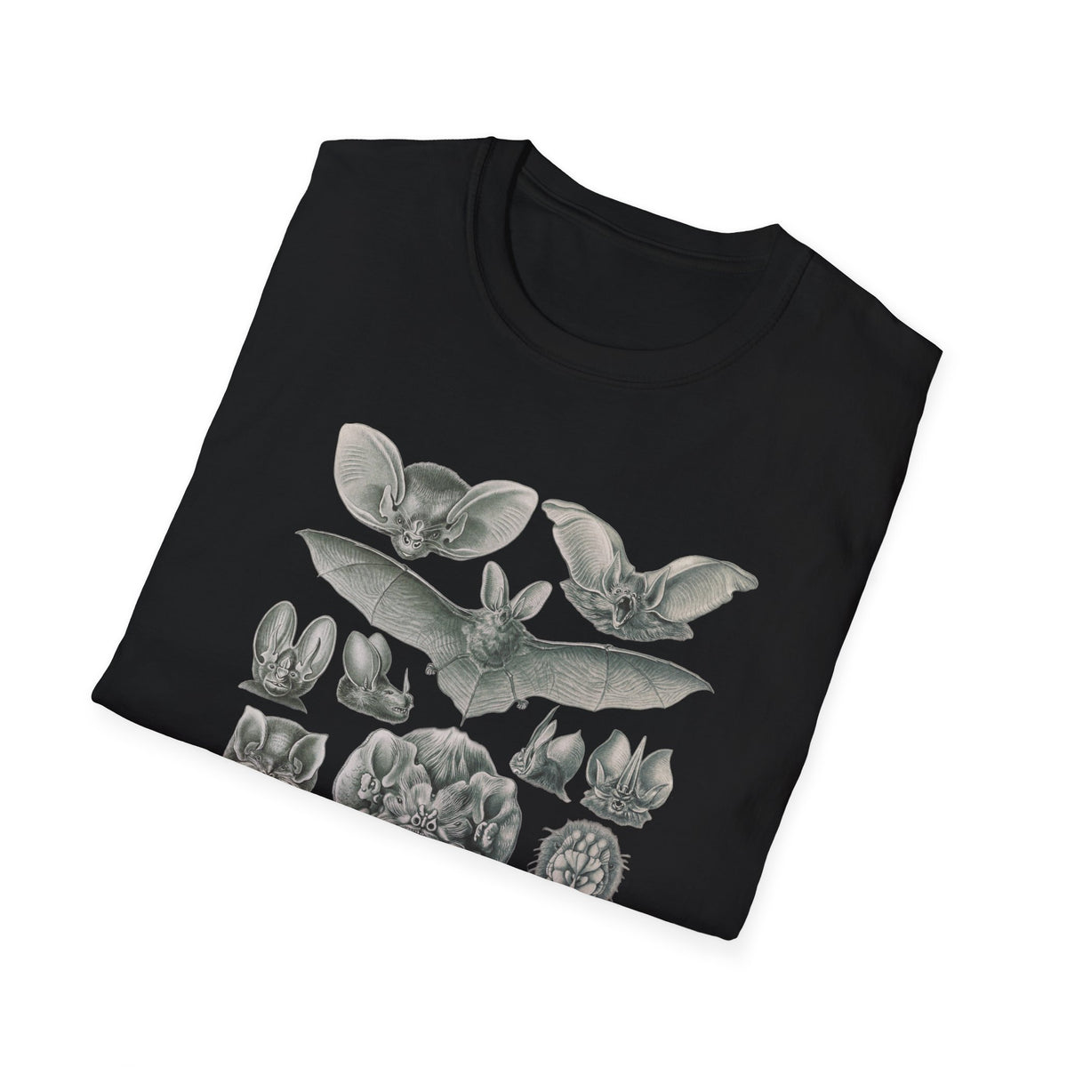 1904 chiroptera (fledertiere) bata print by adolf giltsch after sketch by ernst haeckel from art forms of nature tshirt