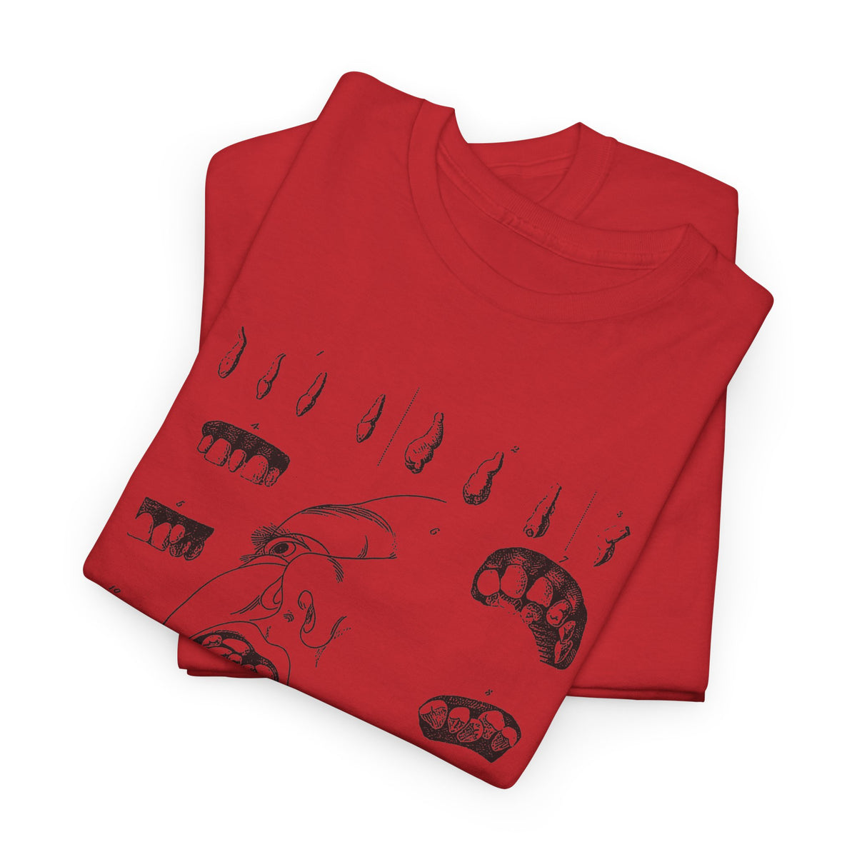 early 1800s disease of the human teeth dentistry illustration tshirt