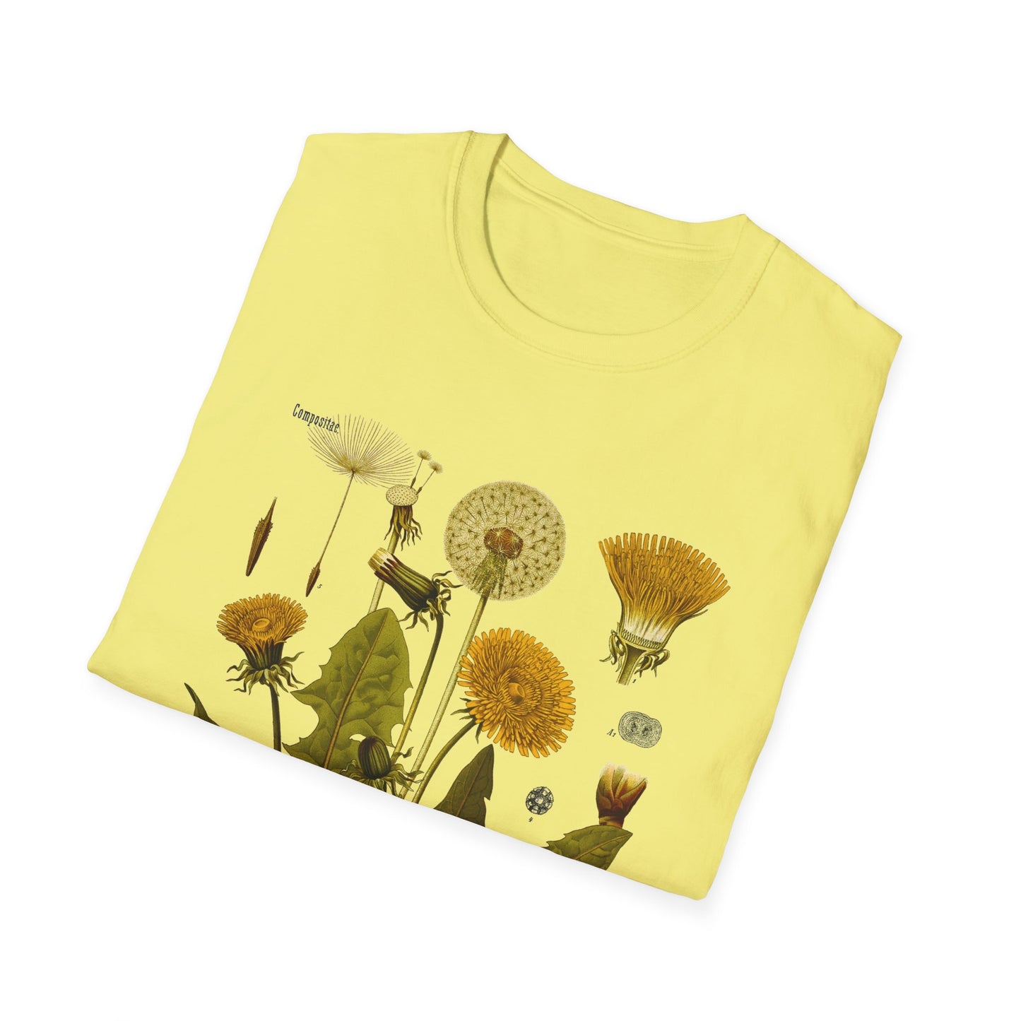 1887 botanical print from kohler's plants taraxacum officinale, the common dandelion tshirt