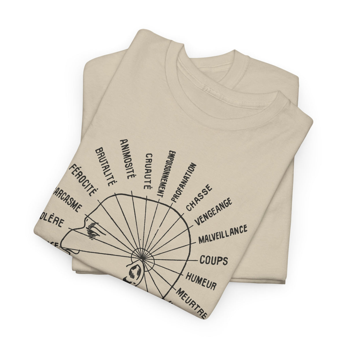 1902 vaught's practical character reader illustration the dangerous traits tshirt