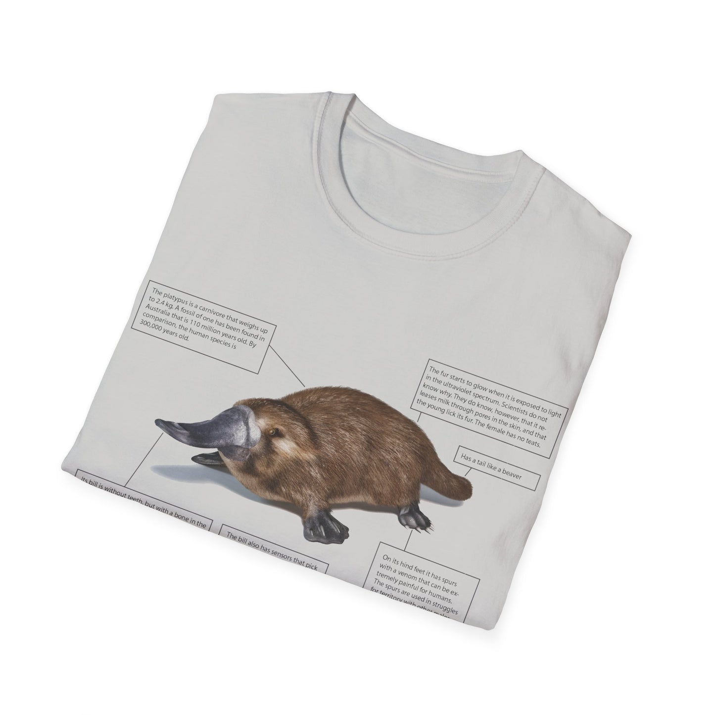 pleasant platypus facts tshirt