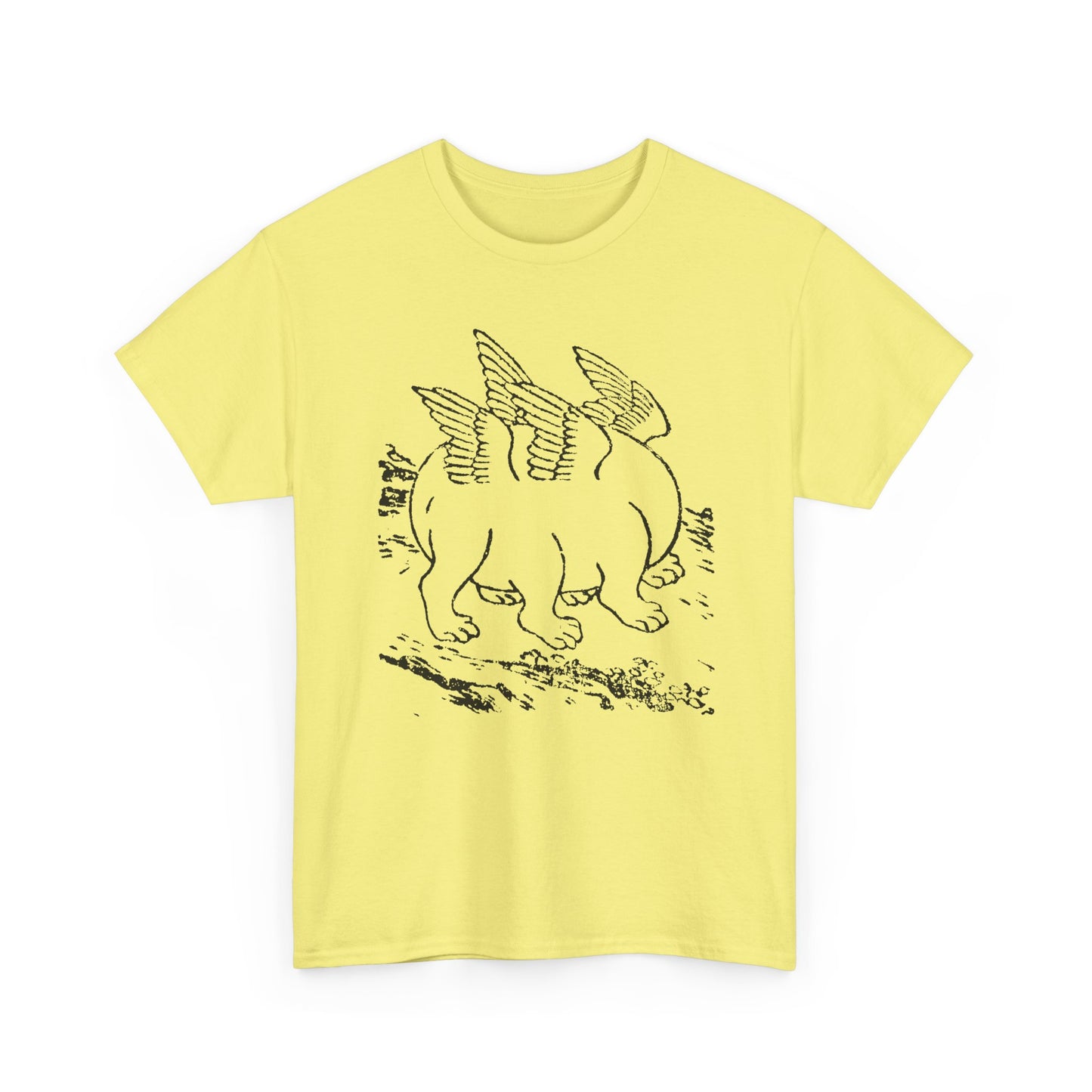 1897 primordial egg chinese emblem of the ten powers illustration tshirt
