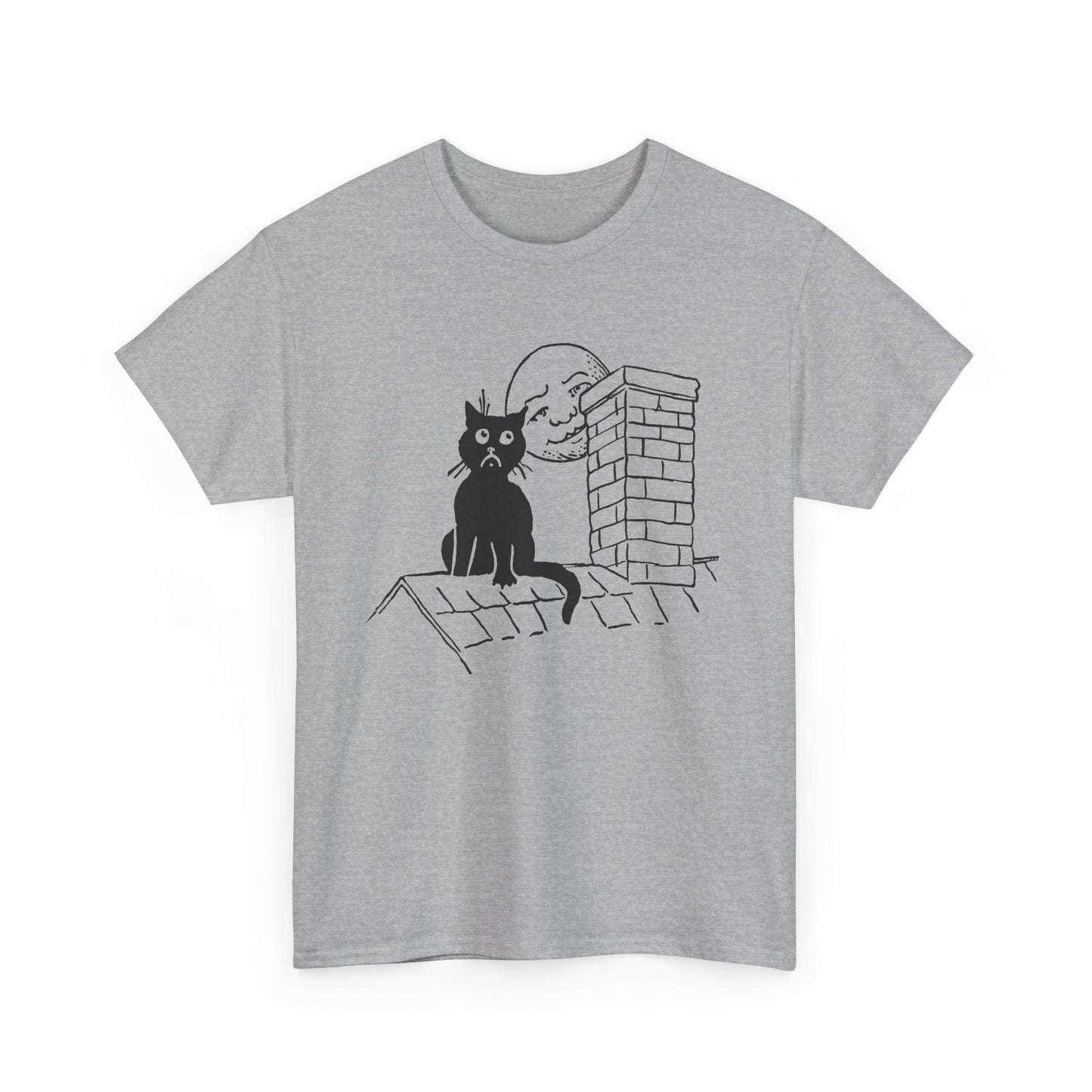 1906 postcard art can't you see i'm lonely cat on roof tshirt