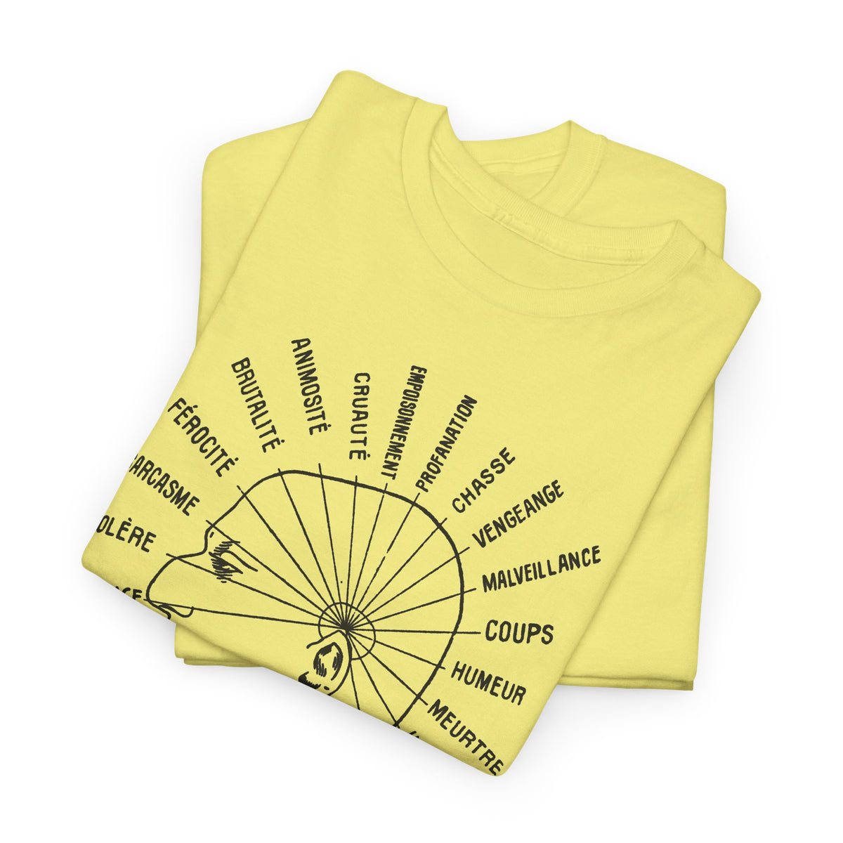 1902 vaught's practical character reader illustration the dangerous traits tshirt