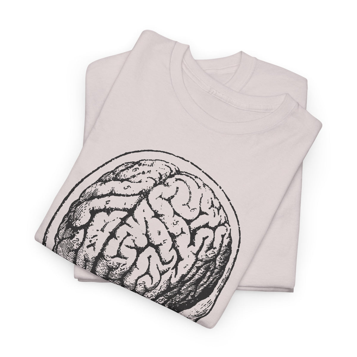 early 1900s brain anatomy illustration tshirt