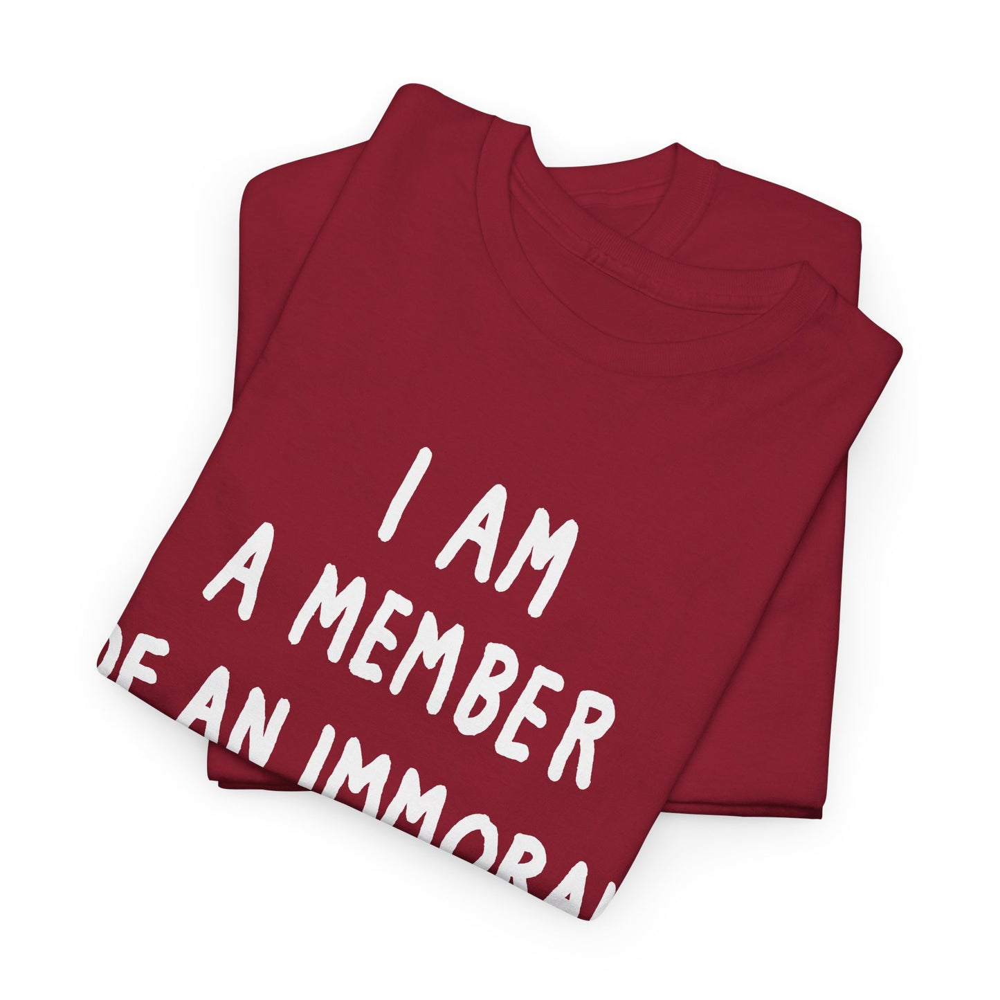 i am a member of an immoral subculture tshirt