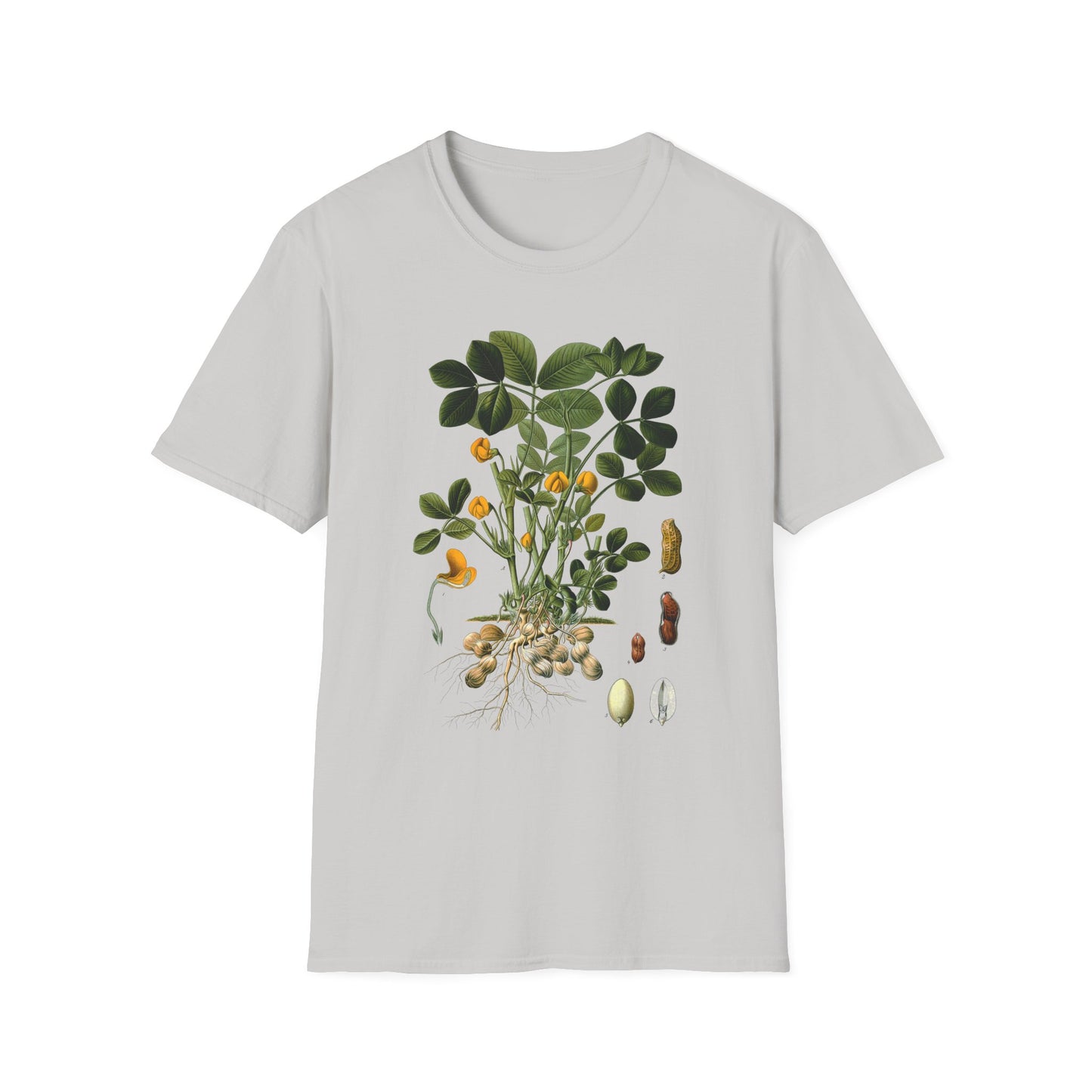 1887 peanut arachis (hypogaea) botanical print from kohler's plants by hermann adolph kohler tshirt
