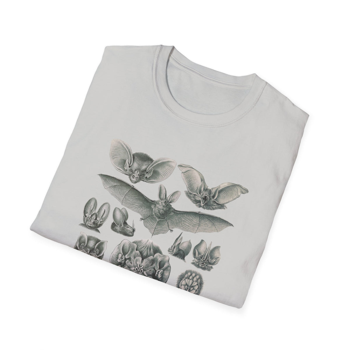 1904 chiroptera (fledertiere) bata print by adolf giltsch after sketch by ernst haeckel from art forms of nature tshirt