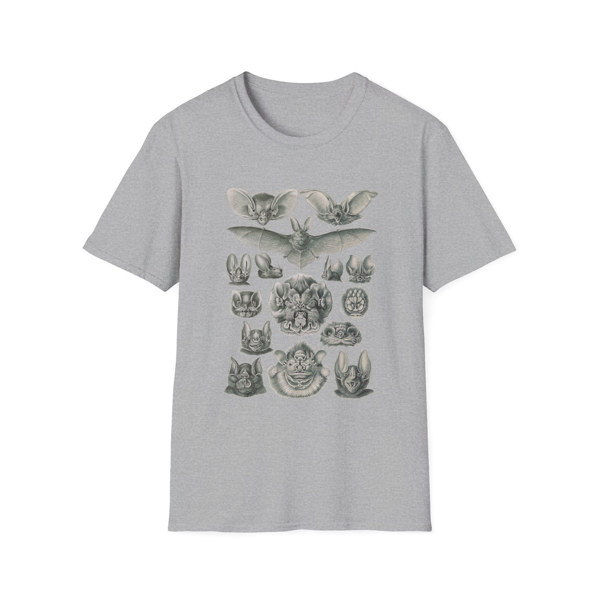 1904 chiroptera (fledertiere) bata print by adolf giltsch after sketch by ernst haeckel from art forms of nature tshirt