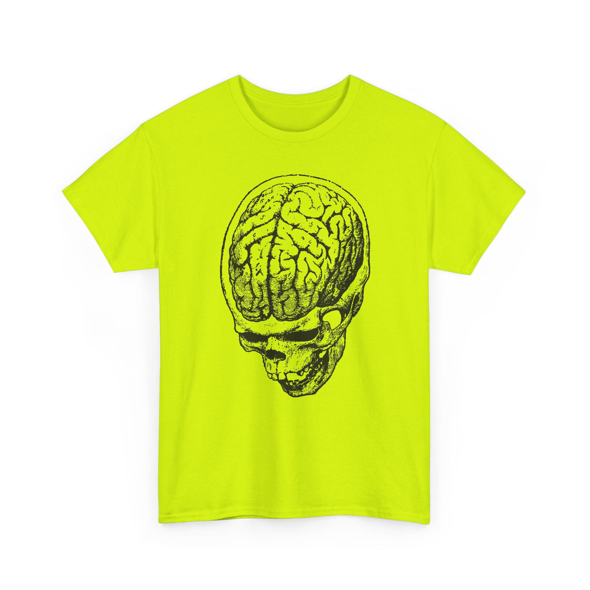 early 1900s brain anatomy illustration tshirt