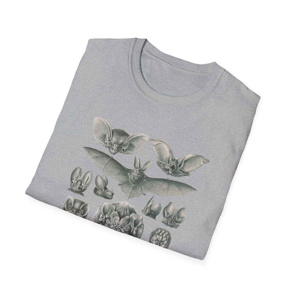 1904 chiroptera (fledertiere) bata print by adolf giltsch after sketch by ernst haeckel from art forms of nature tshirt