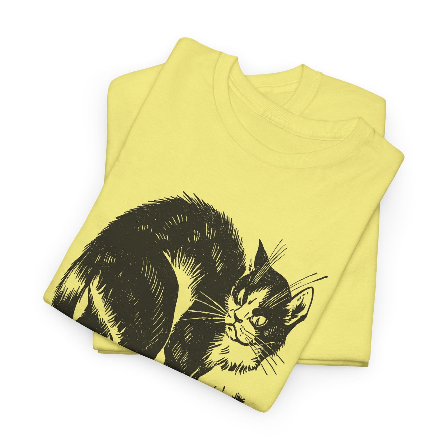 vintage french children's book illustration of angry cat and happy mouse reproduction tshirt