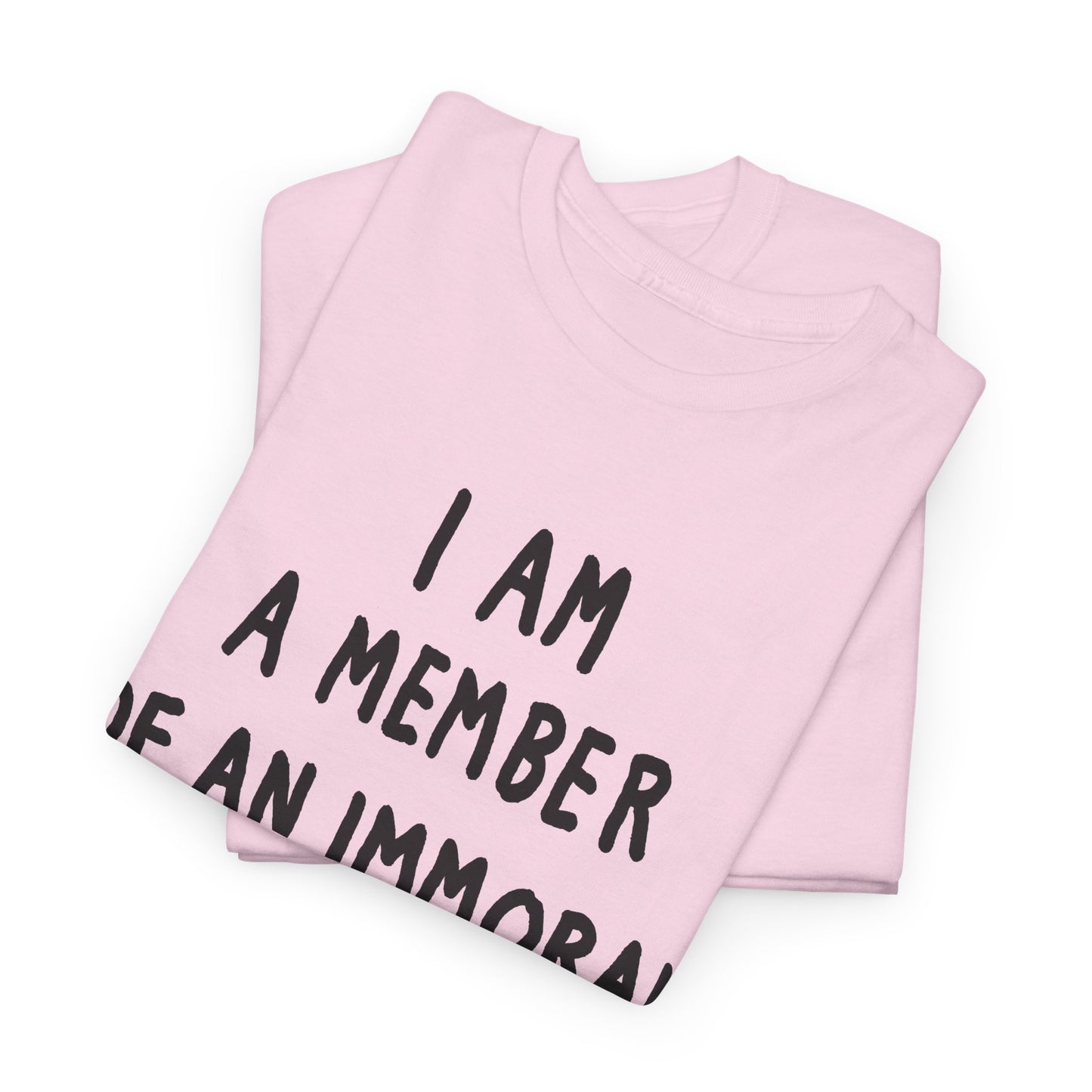 i am a member of an immoral subculture tshirt