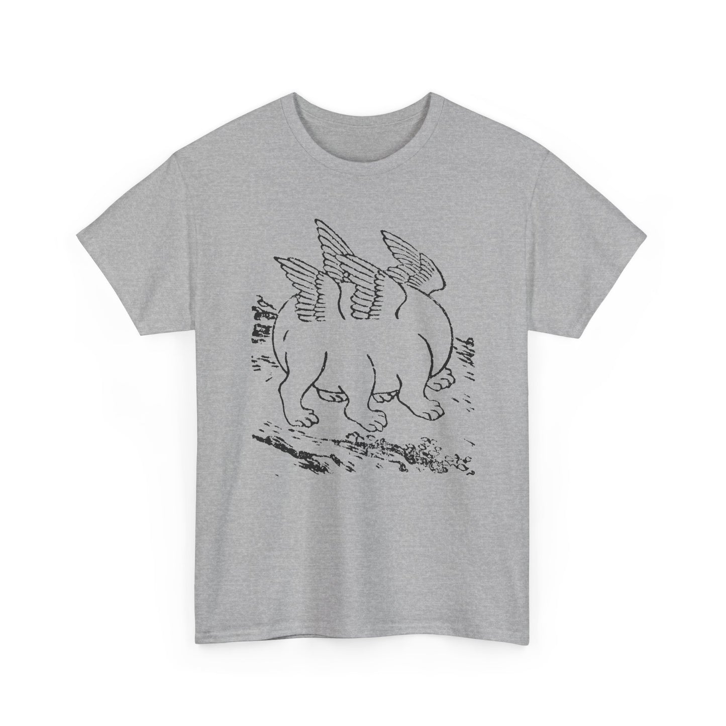 1897 primordial egg chinese emblem of the ten powers illustration tshirt