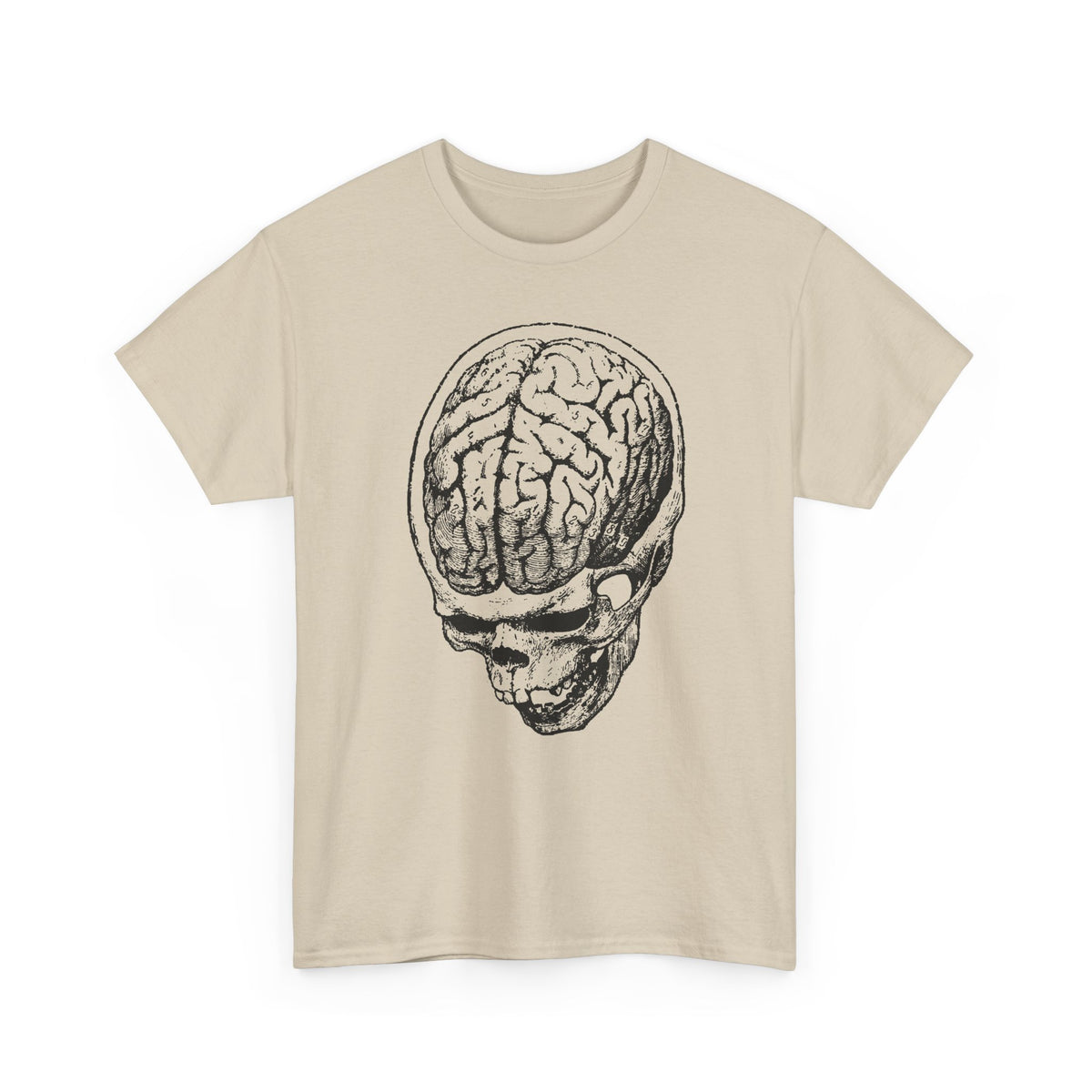 early 1900s brain anatomy illustration tshirt