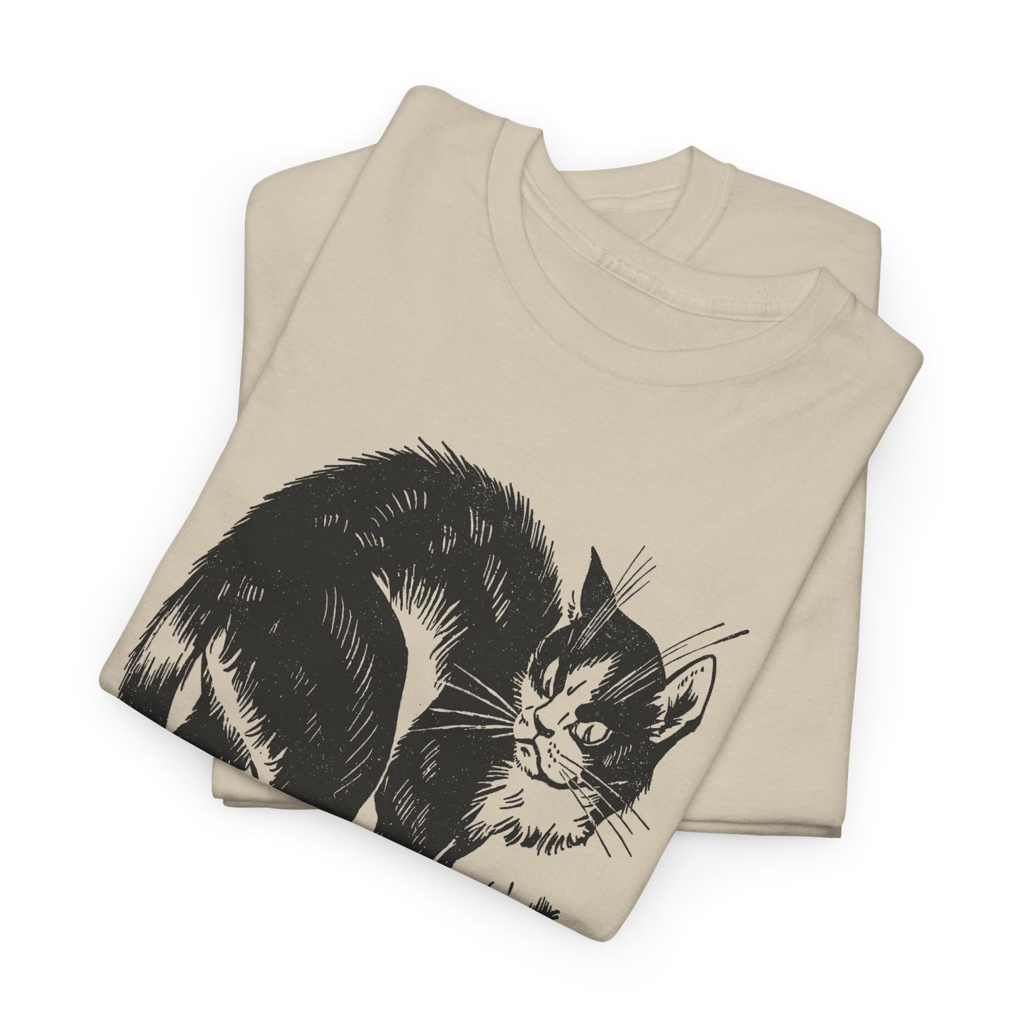 vintage french children's book illustration of angry cat and happy mouse reproduction tshirt