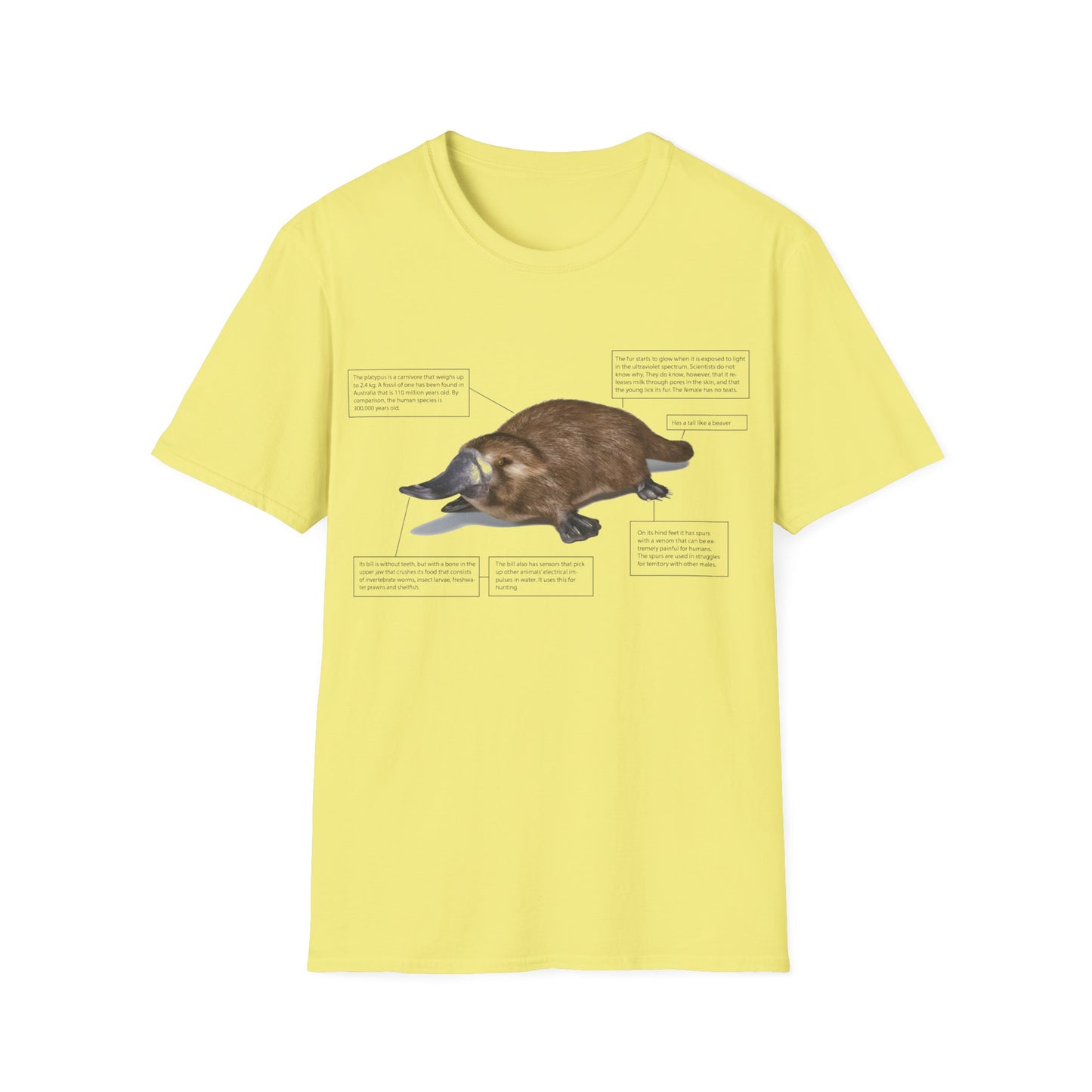 pleasant platypus facts tshirt