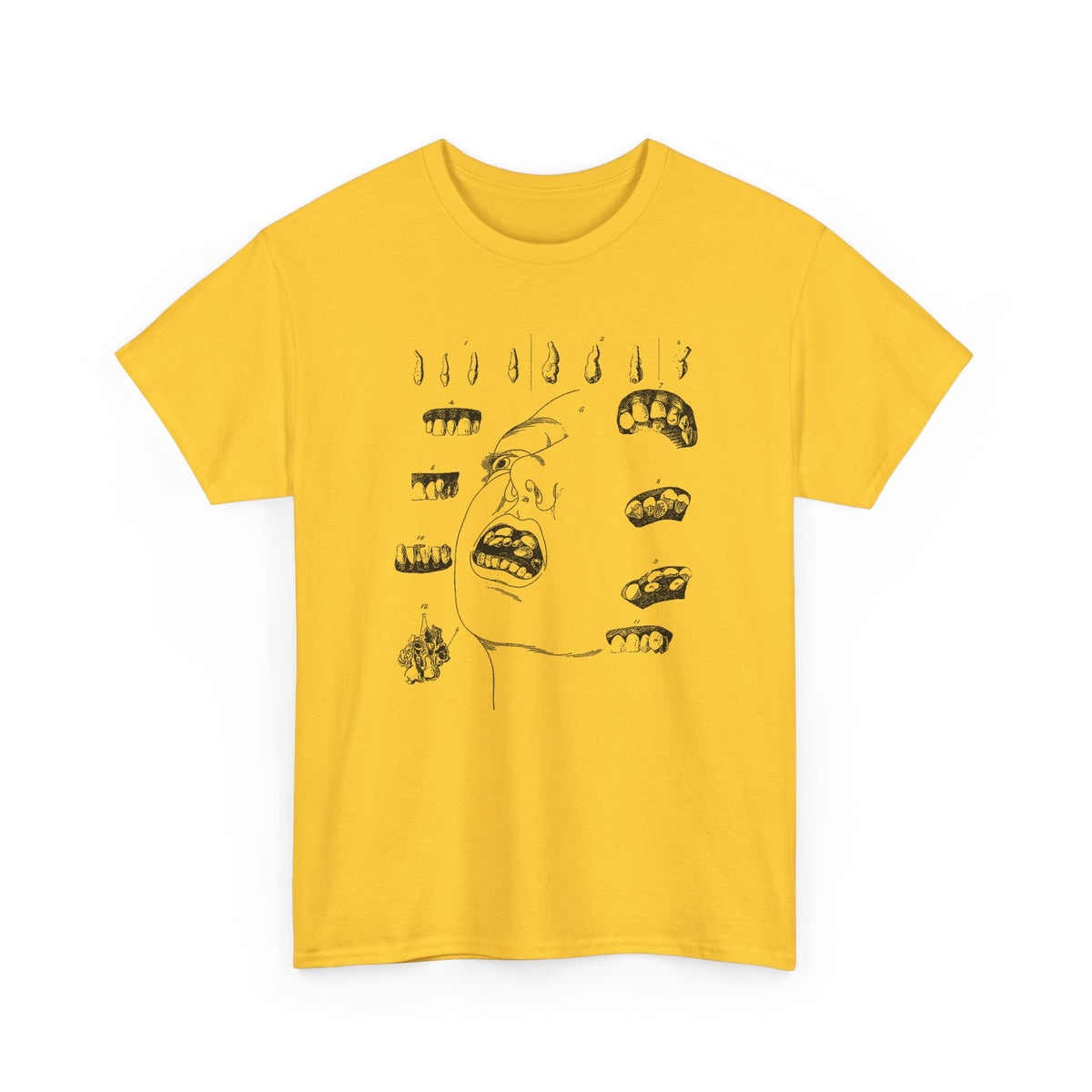 early 1800s disease of the human teeth dentistry illustration tshirt