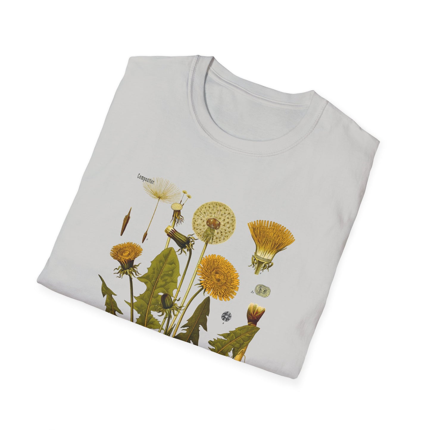 1887 botanical print from kohler's plants taraxacum officinale the common dandelion tshirt