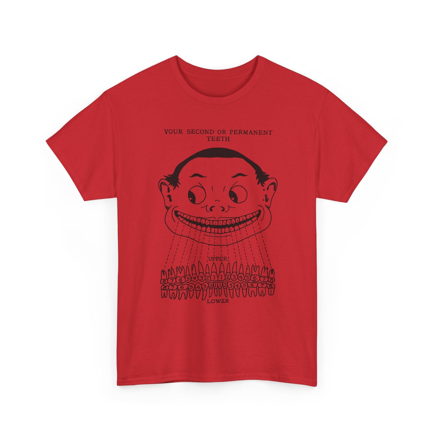 1918 illustration from child's book of teeth kid with teeth chart tshirt