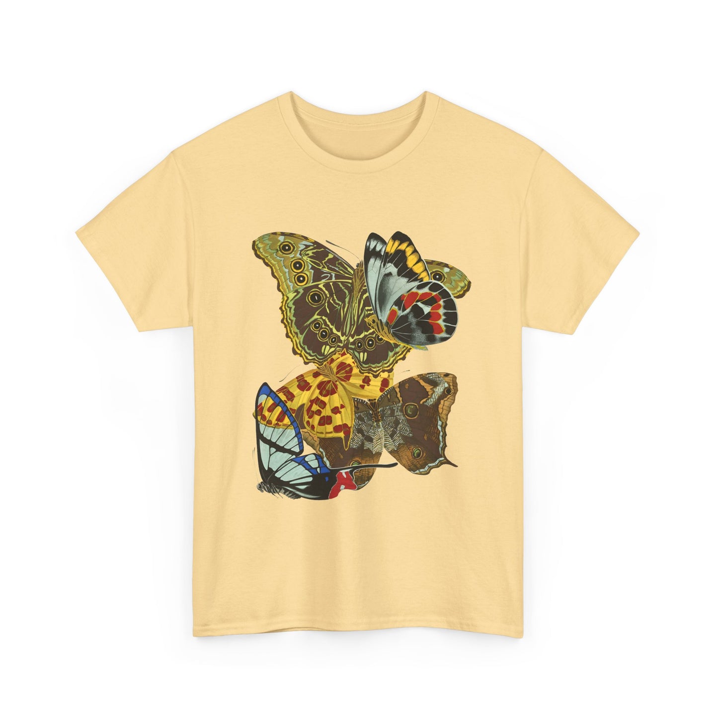 1925 papillons butterfly illustration by emile allain seguy tshirt