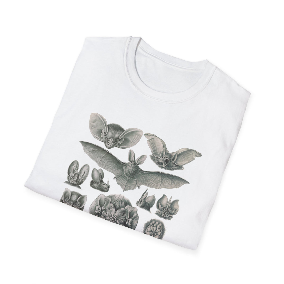 1904 chiroptera (fledertiere) bata print by adolf giltsch after sketch by ernst haeckel from art forms of nature tshirt