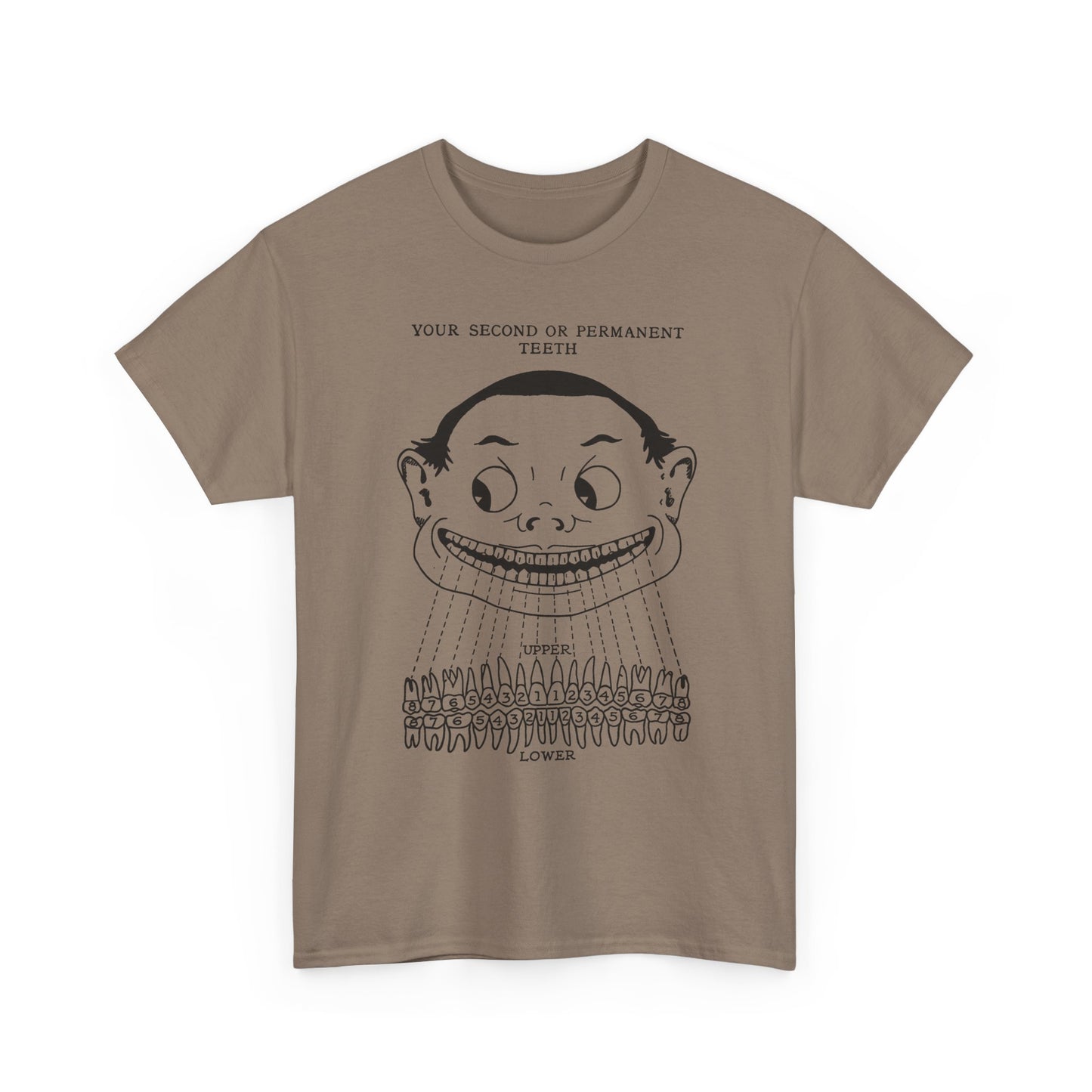 1918 illustration from child's book of teeth kid with teeth chart tshirt