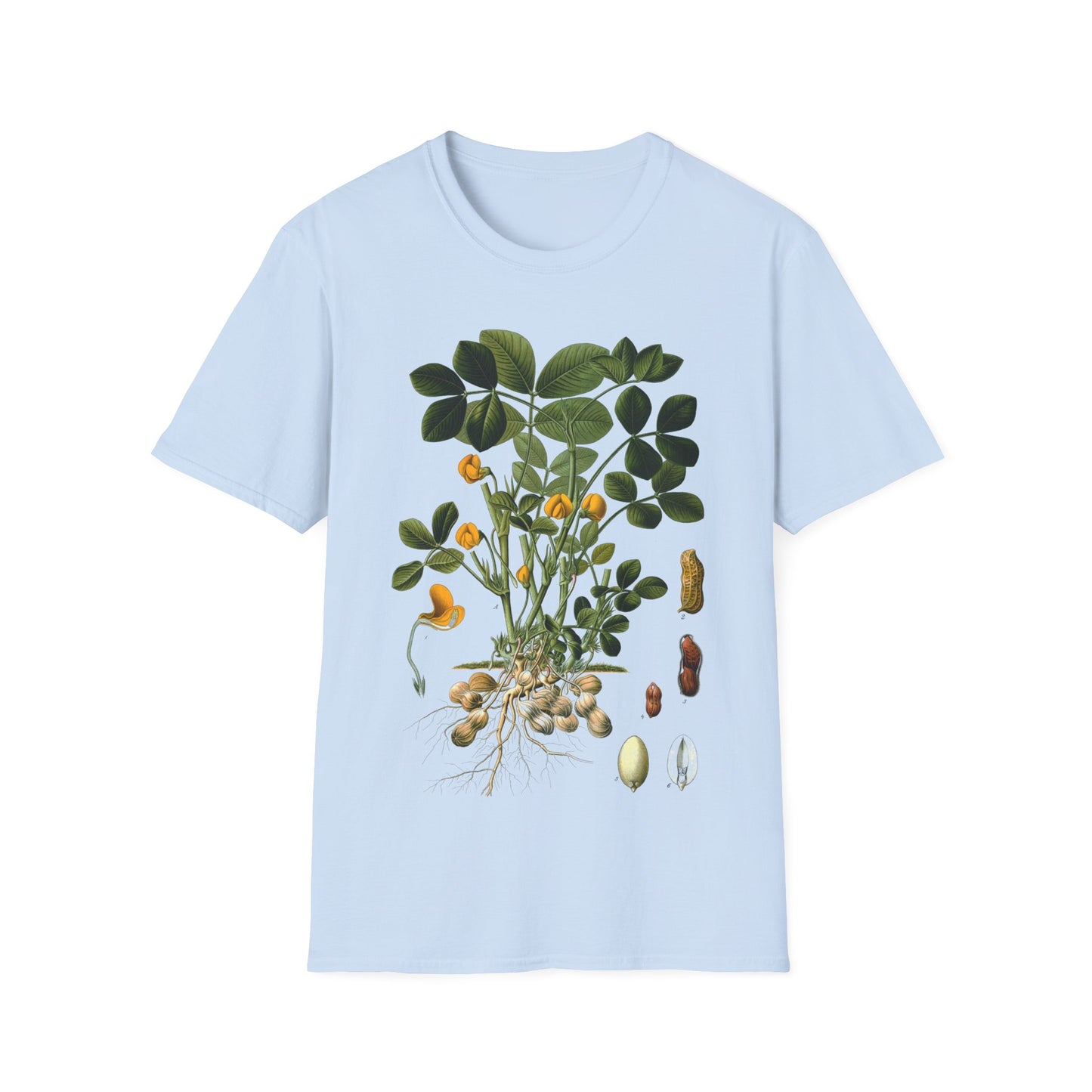 1887 peanut arachis hypogaea botanical print from kohler's plants by hermann adolph kohler tshirt