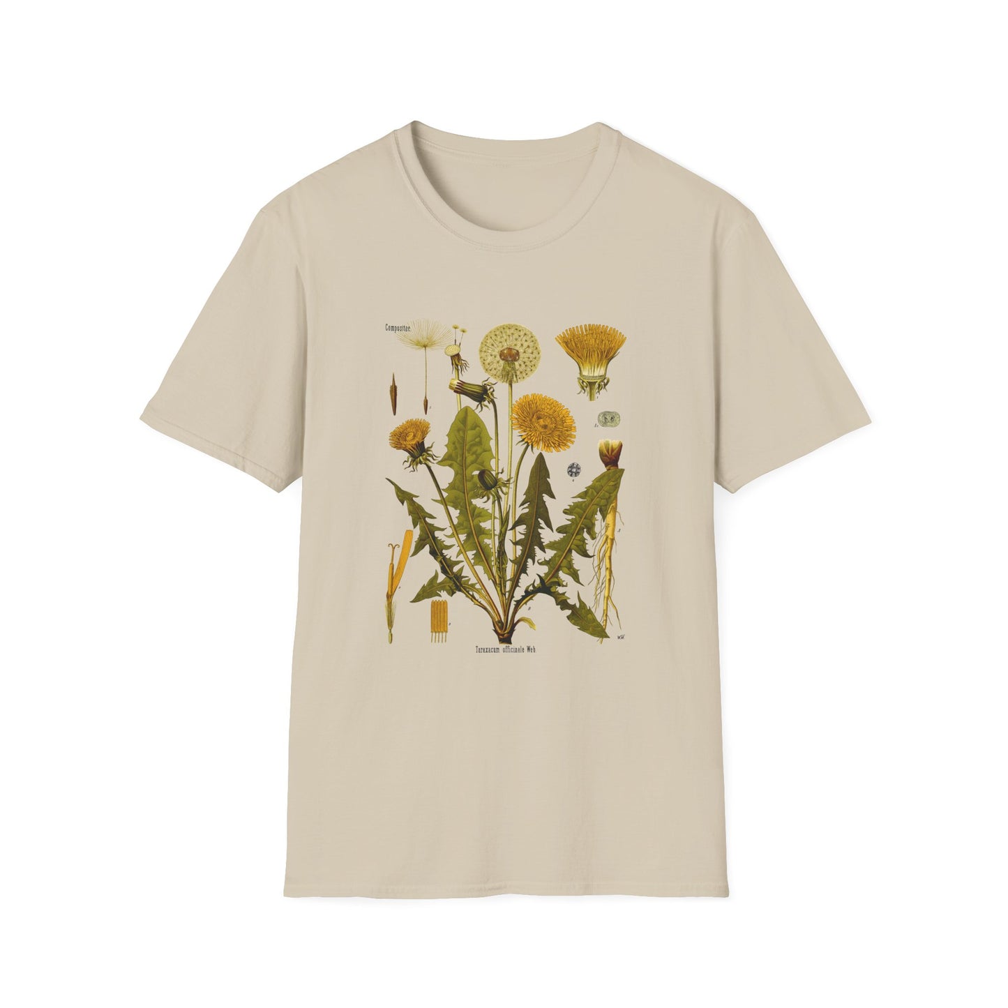 1887 botanical print from kohler's plants taraxacum officinale the common dandelion tshirt