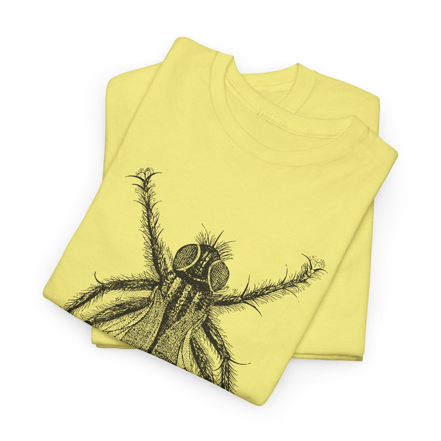 1889 fred's fly illustration from the boy travellers in australasia tshirt