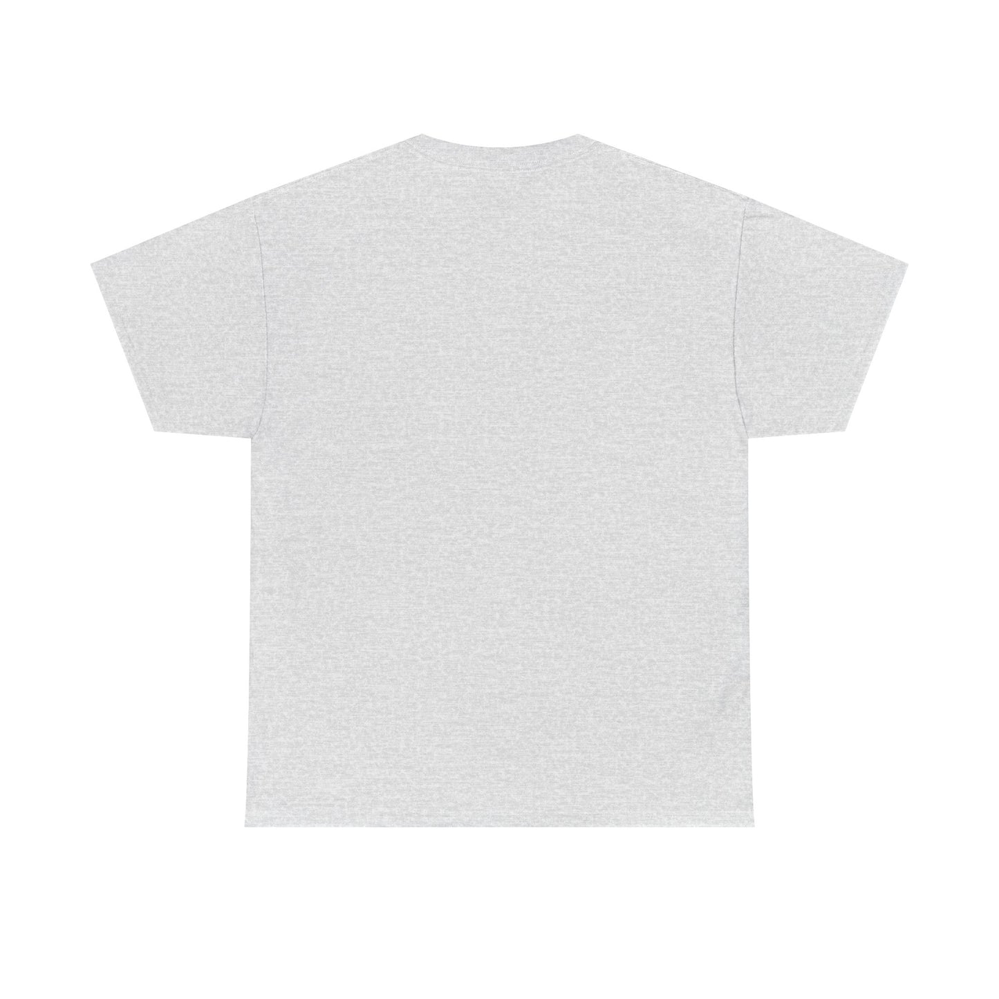 1970s rock n roll band fanny show poster tshirt