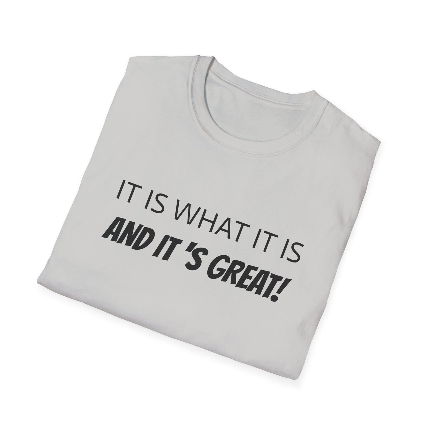 it is what it is and it's great! tshirt