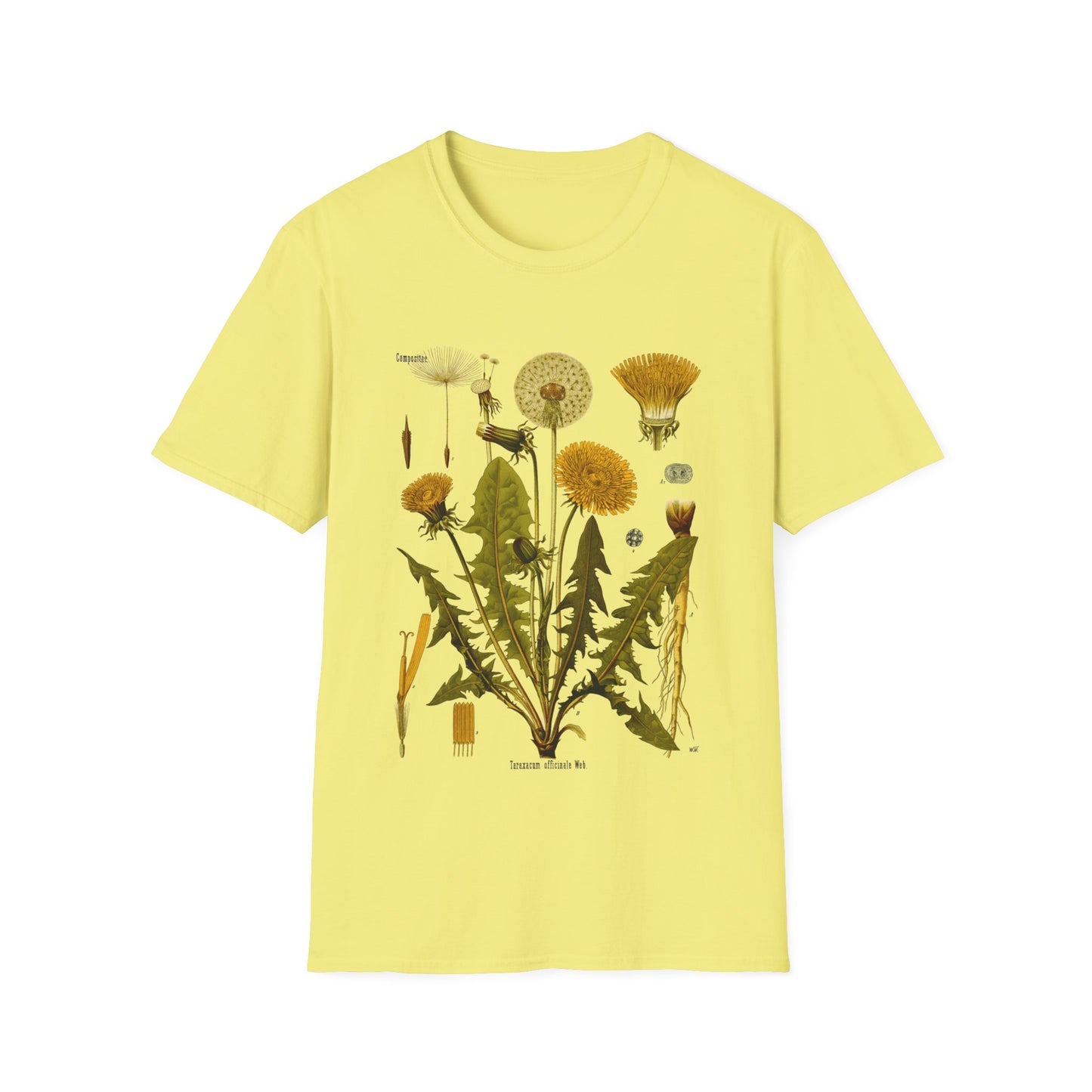 1887 botanical print from kohler's plants taraxacum officinale, the common dandelion tshirt