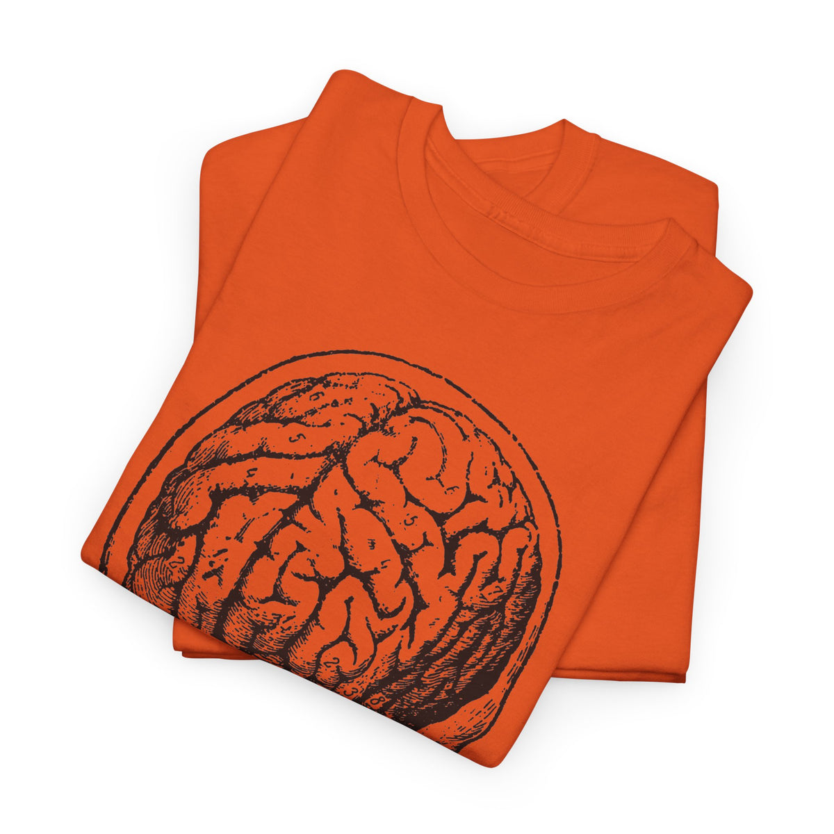 early 1900s brain anatomy illustration tshirt