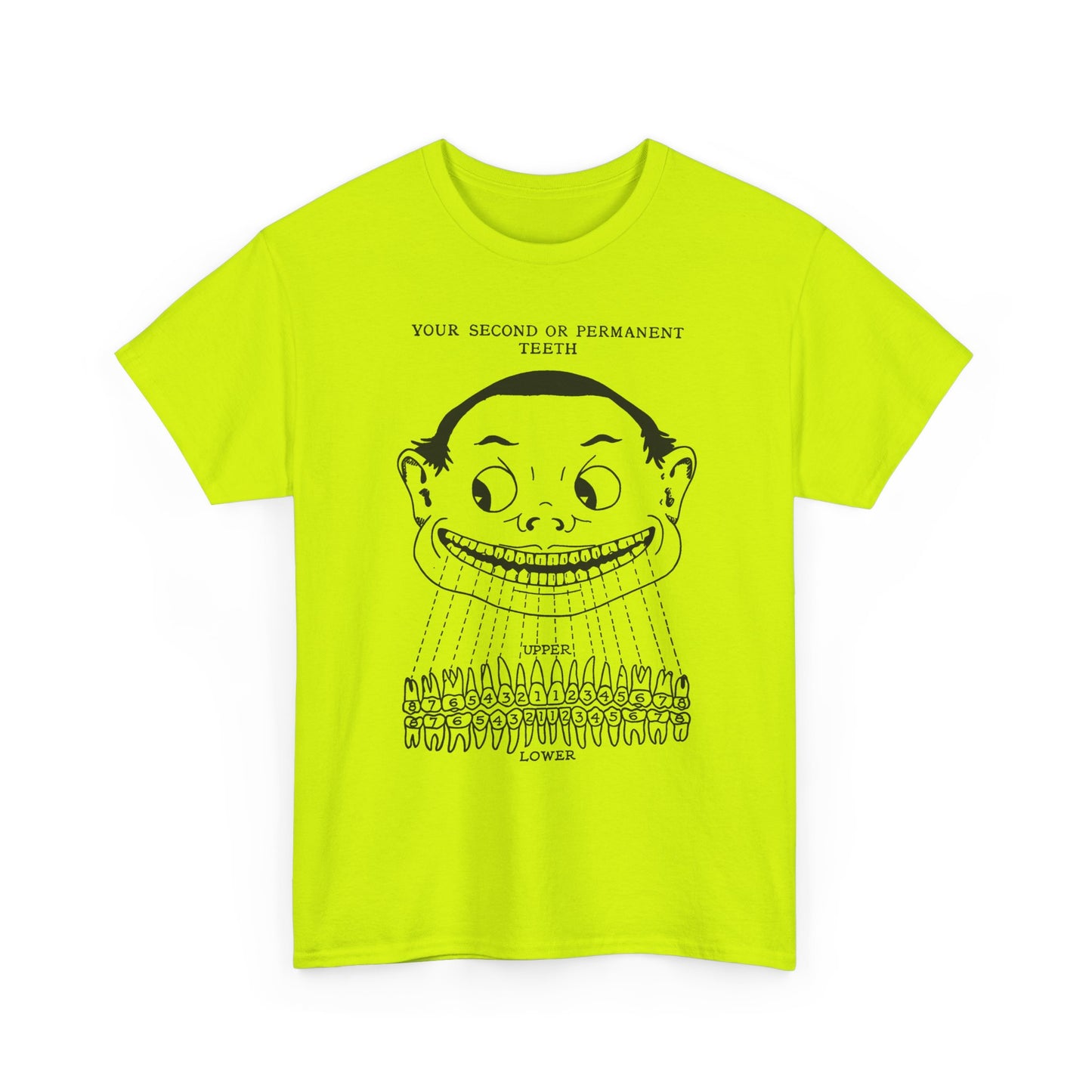 1918 illustration from child's book of teeth kid with teeth chart tshirt