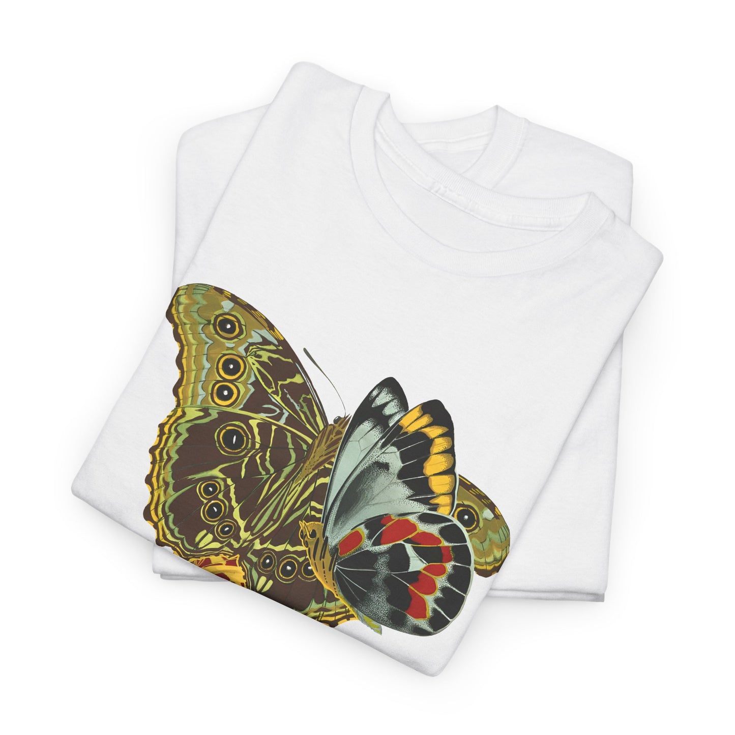 1925 papillons butterfly illustration by emile allain seguy tshirt