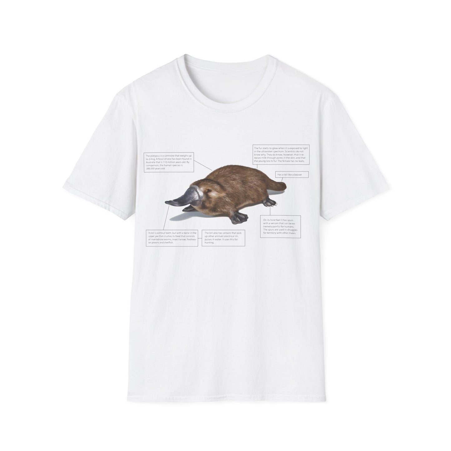 pleasant platypus facts tshirt