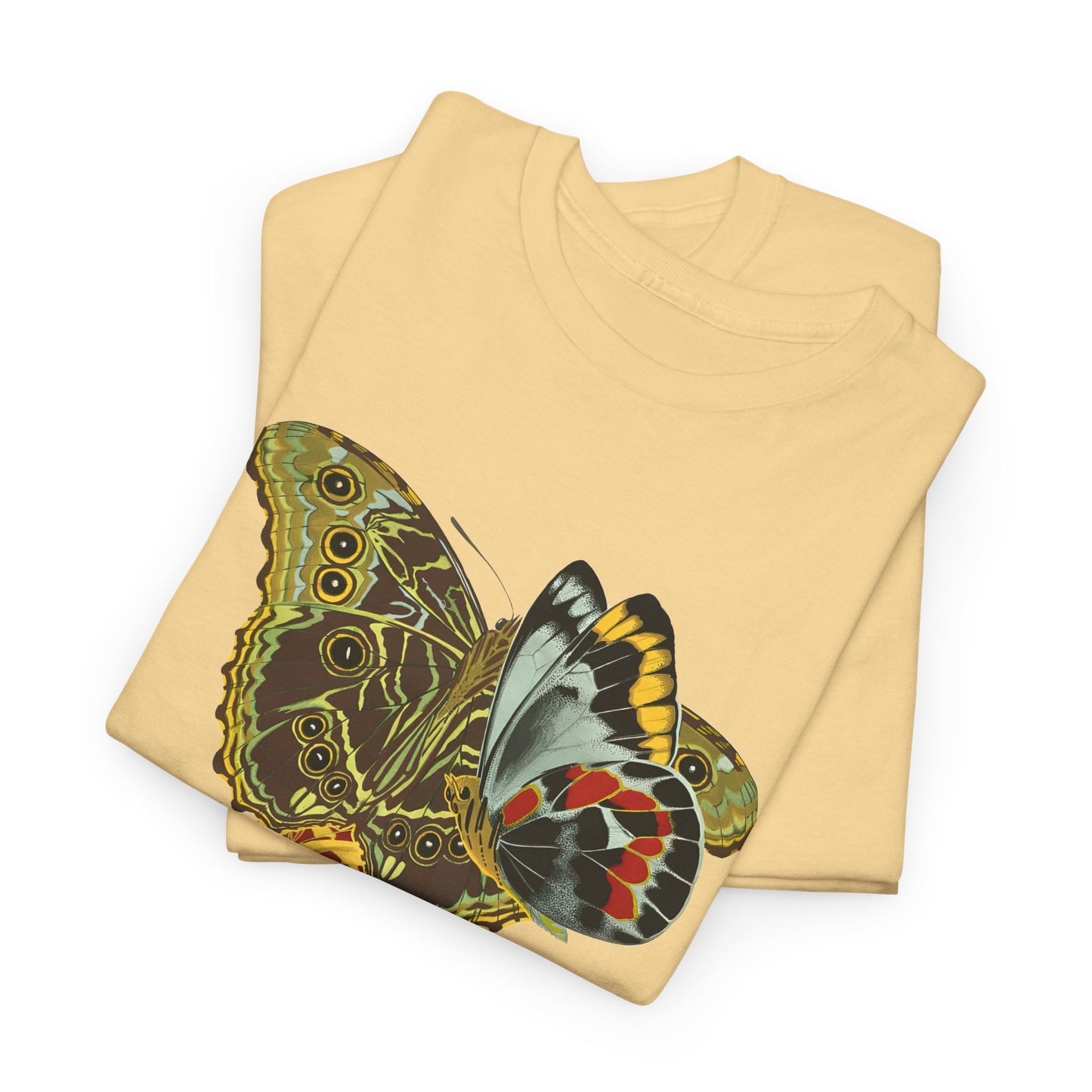 1925 papillons butterfly illustration by emile allain seguy tshirt