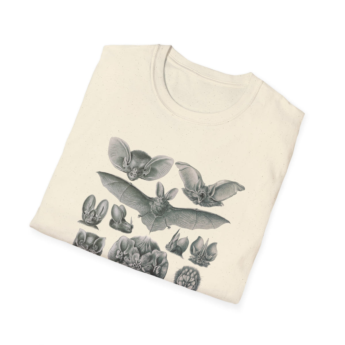 1904 chiroptera (fledertiere) bata print by adolf giltsch after sketch by ernst haeckel from art forms of nature tshirt