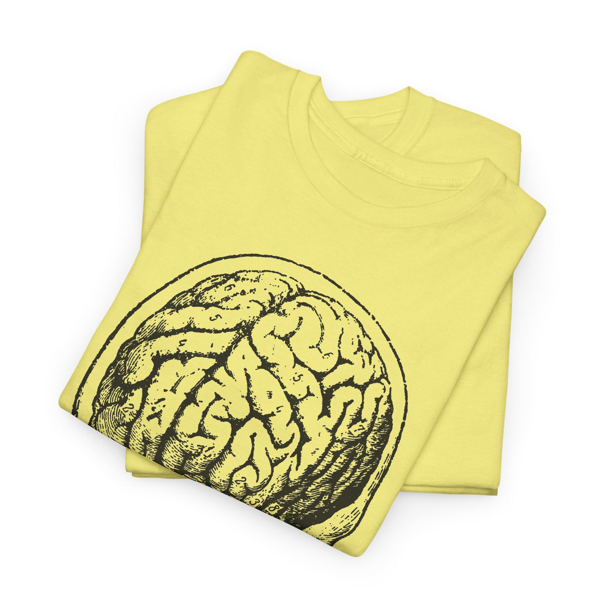early 1900s brain anatomy illustration tshirt